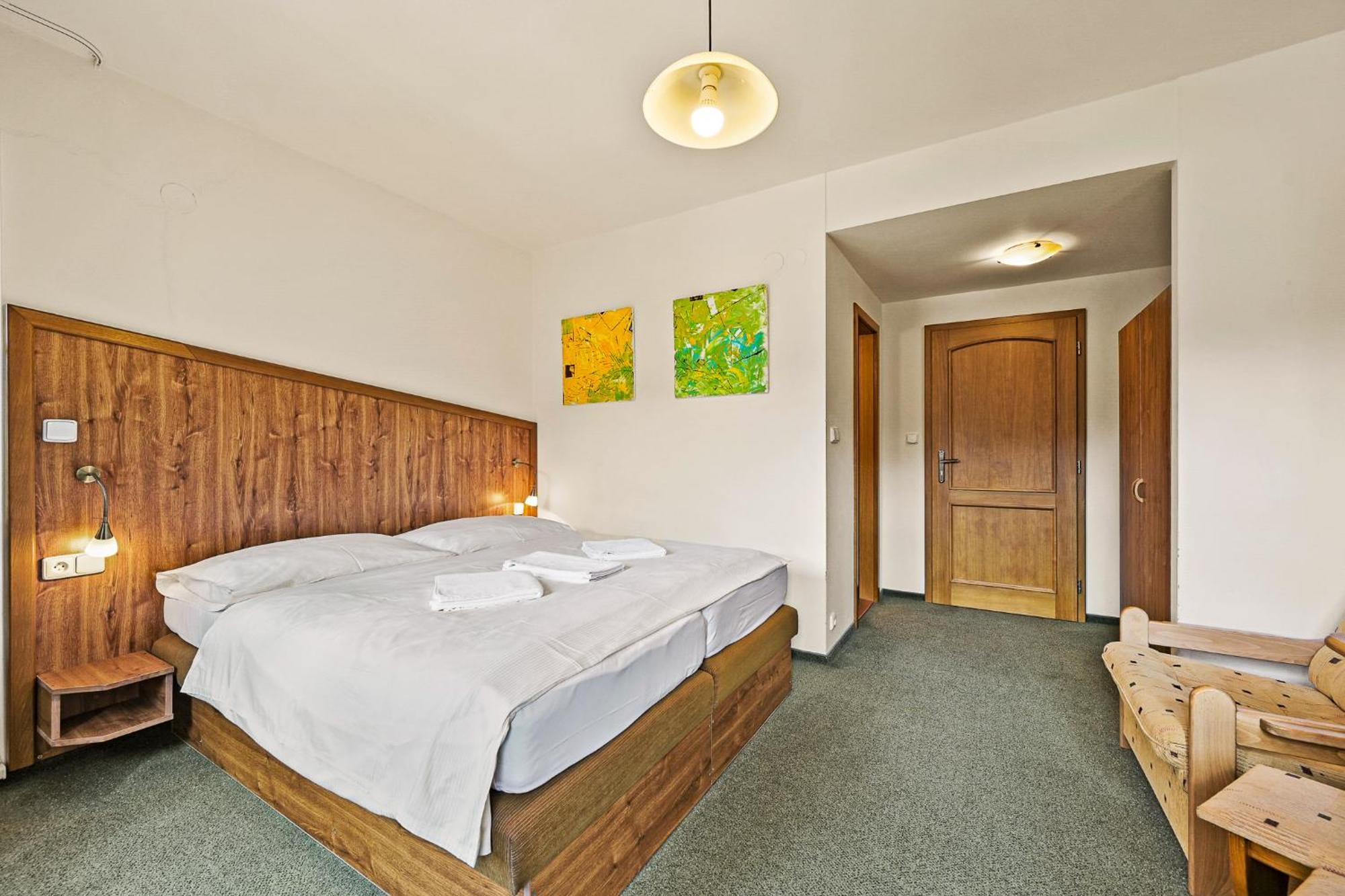 David Wellness Hotel ハルラホフ 部屋 写真