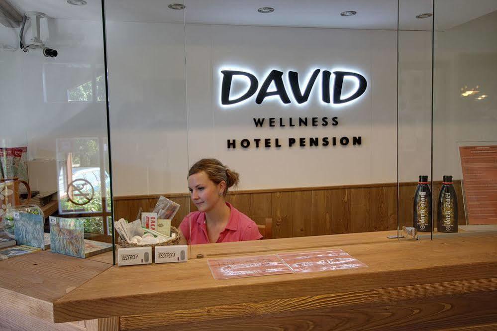David Wellness Hotel ハルラホフ エクステリア 写真